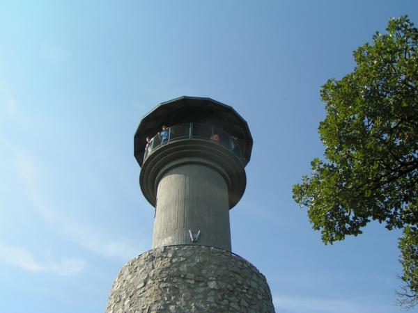pict4762 (web)